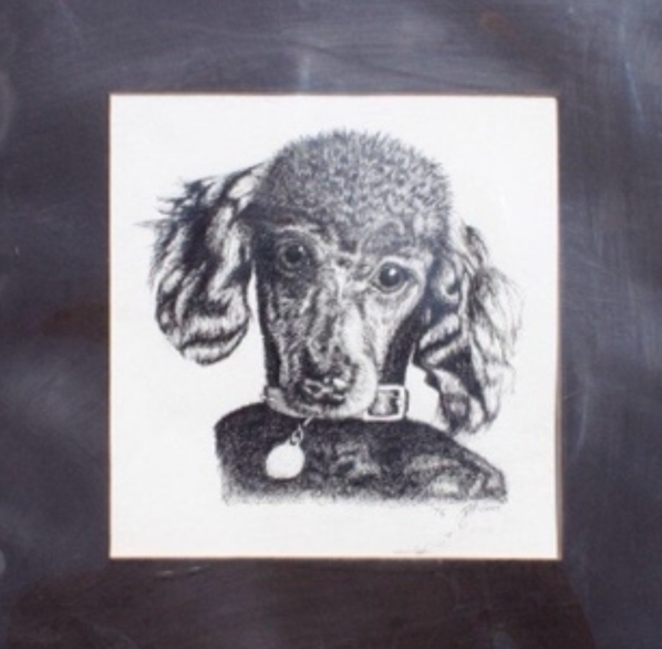 A drawing Dr. Moore did of his dog Button with an ink pen